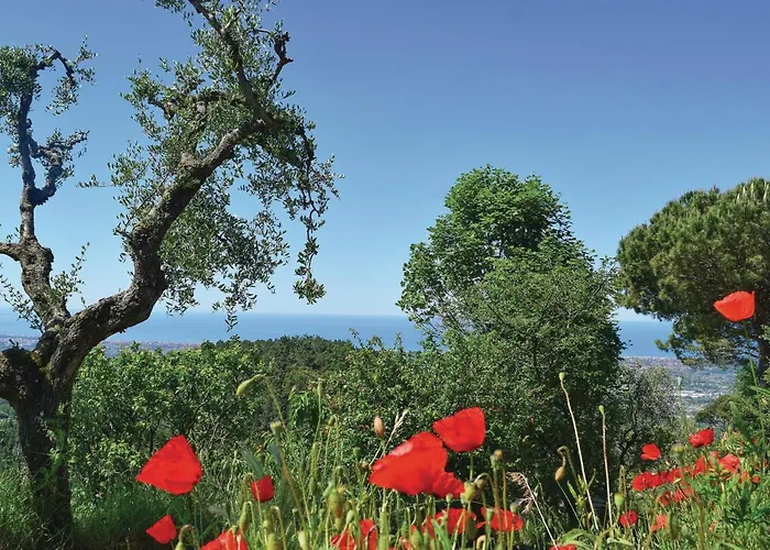 Prázdninový dům Ortensia *